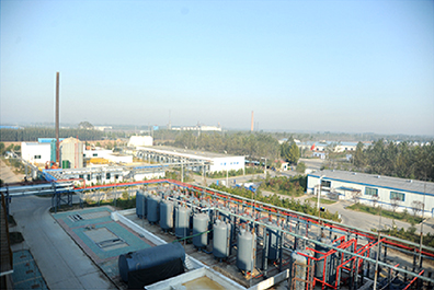 請?zhí)顚憳?biāo)題